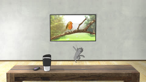 cat tv