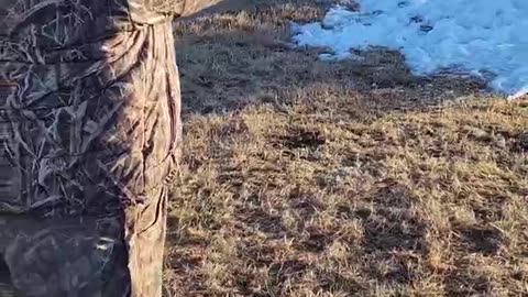 Another Round of 5.7x28