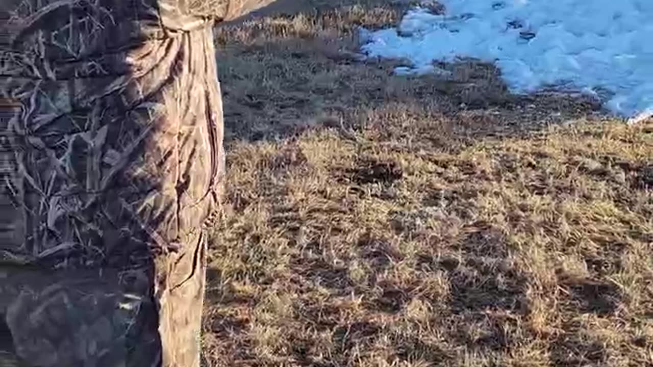 Another Round of 5.7x28