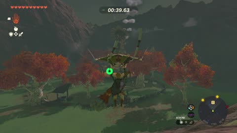 THE ALL CLUCKING CUCCO