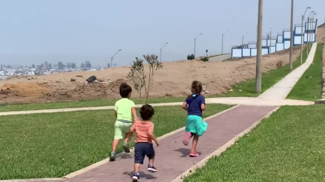 Great Dane puppy sends kid flying after running into him poor boy