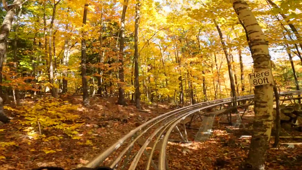 Mountain Coaster