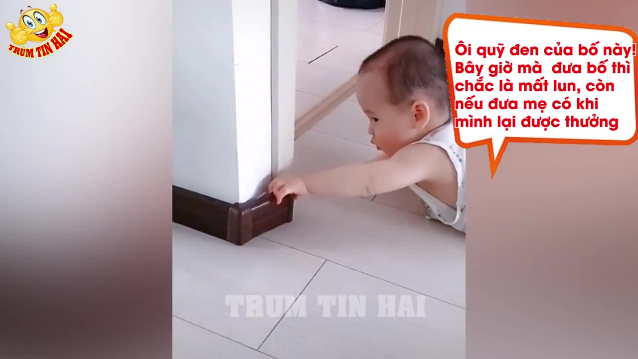 Tổng Hợp Những Tình Huống _HÀI HƯỚC NHẤT _ Khiến Người Ta DỞ KHÓC DỞ CƯỜI P591 _ Trùm Tin Hài