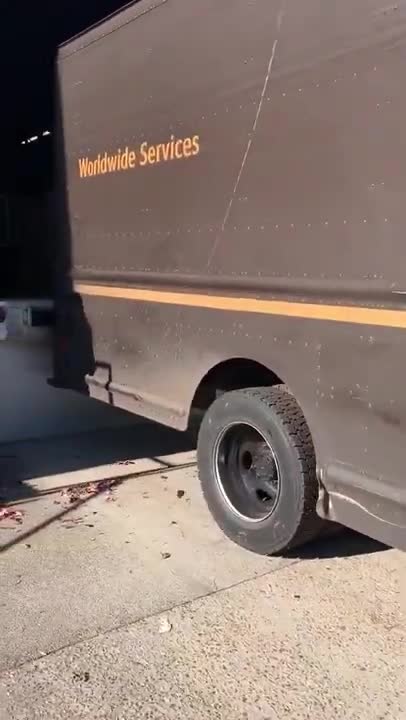 UPS not supposed to carry official election material