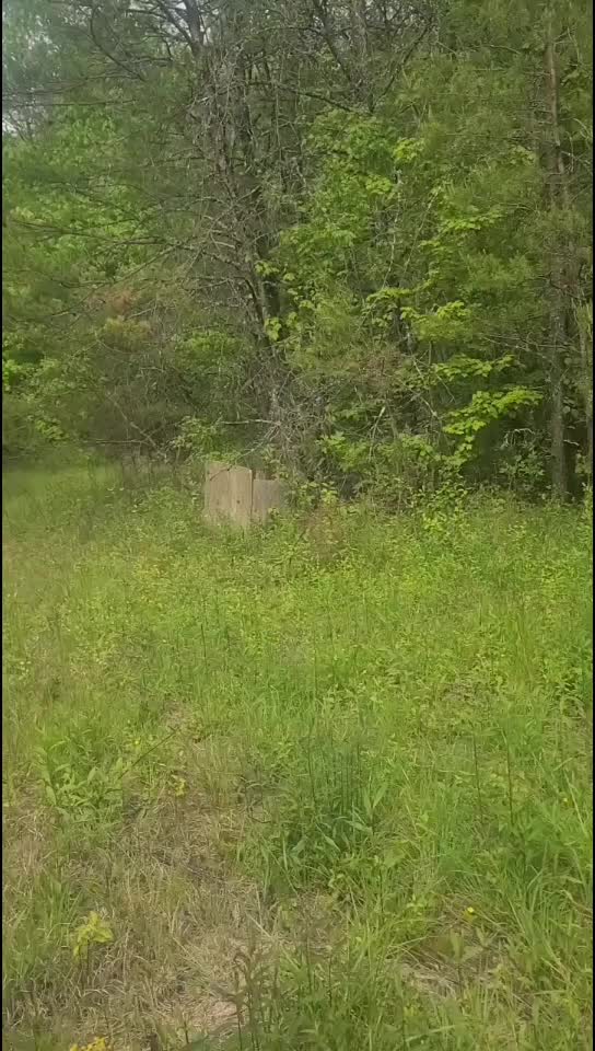 A walk on the property :)