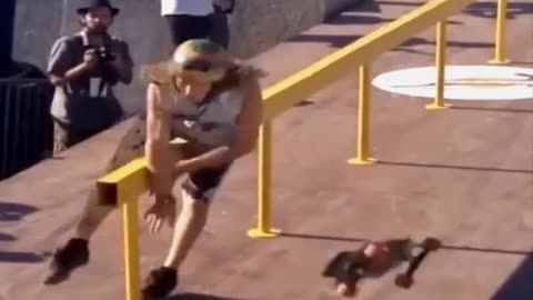 Funny animal video
