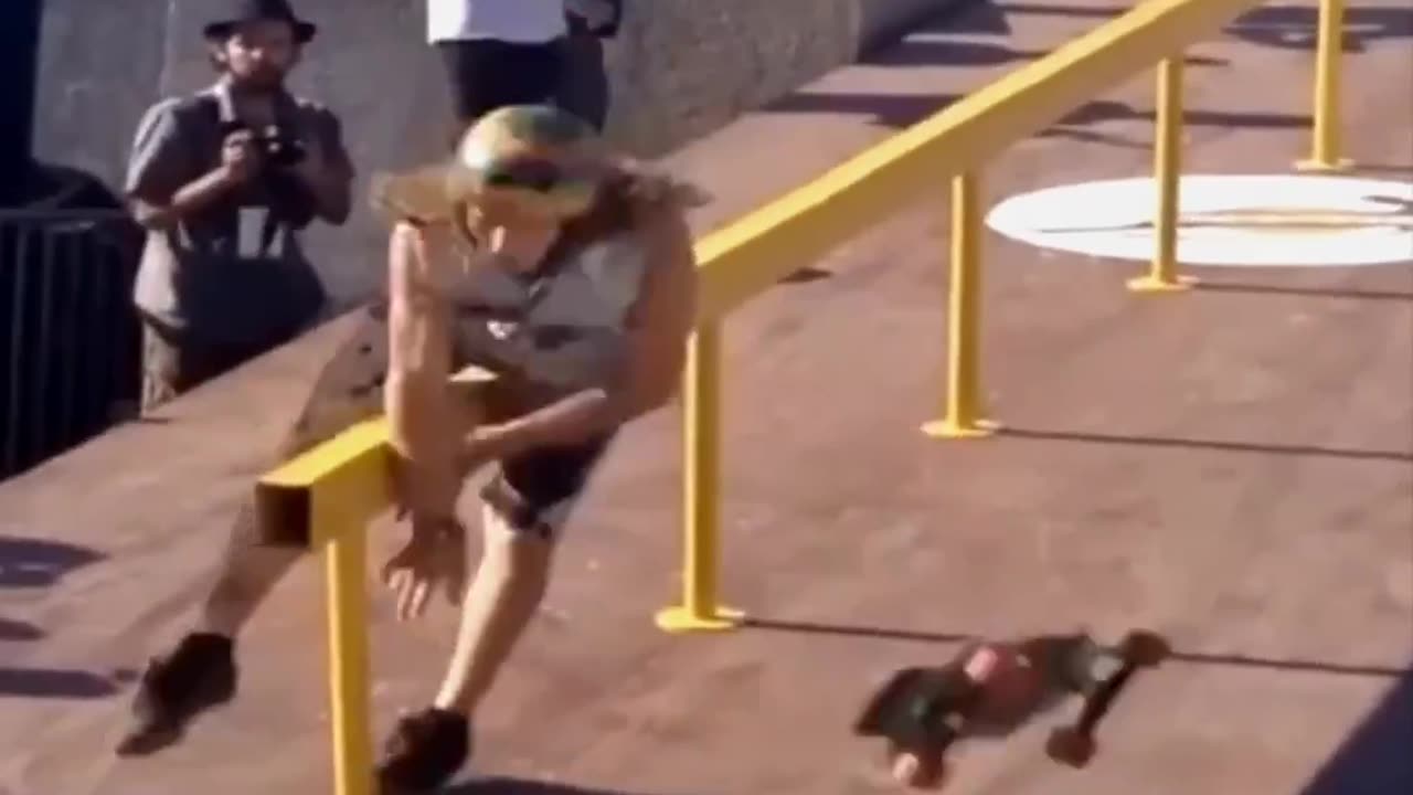 Funny animal video