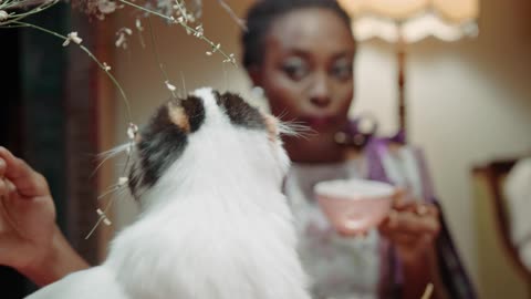 A Women Peting A cat While Having Tea