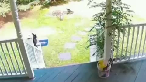 Who took my package??