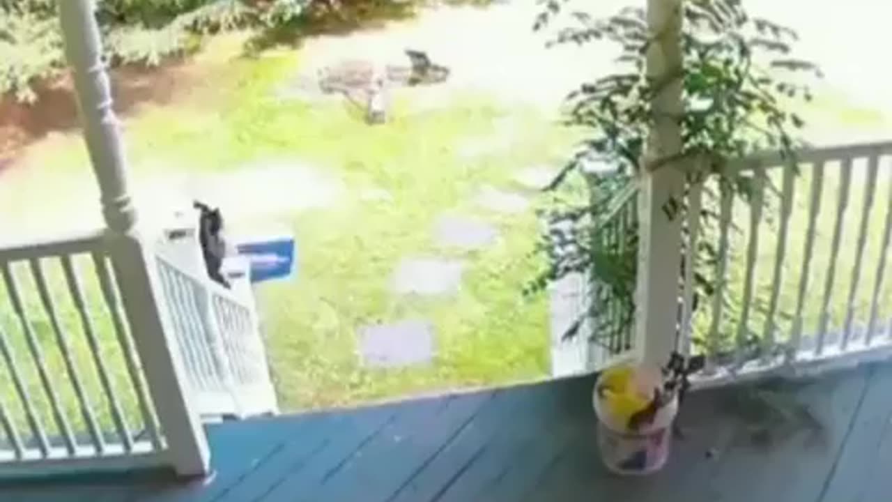 Who took my package??