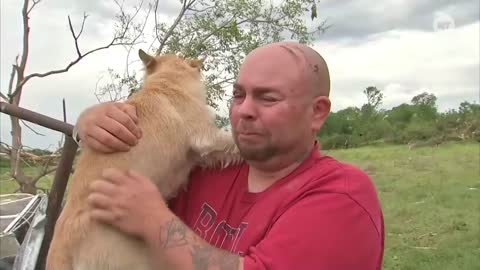 Dogs meet owner after tornado (super cute).