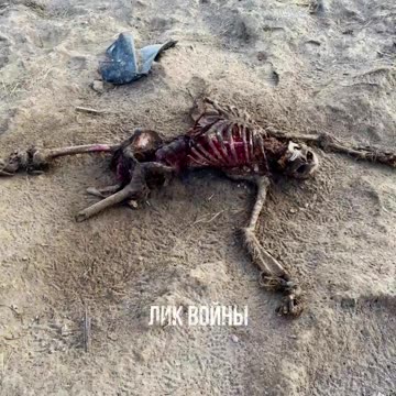 Horrible and Grapic combat footage Ukrainians killed