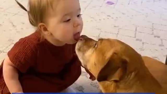 Cute baby and pet kiss.