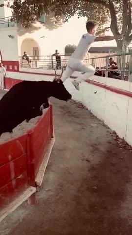 Almost 😂😂😂😂😂