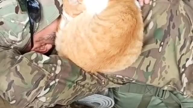 💛 How Ukrainian soldiers sleep