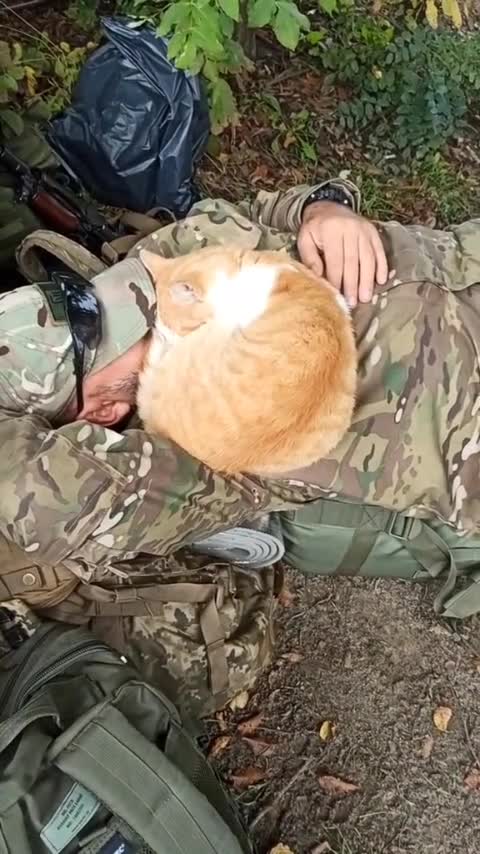 💛 How Ukrainian soldiers sleep