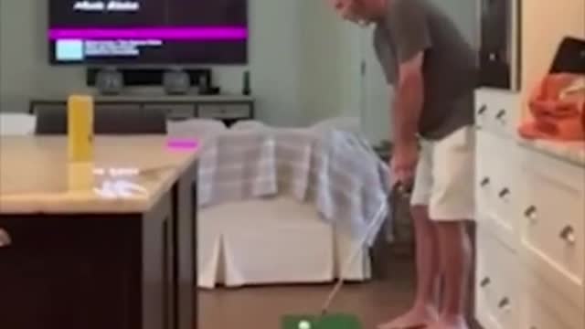 New Short Funny Video Clips 2021