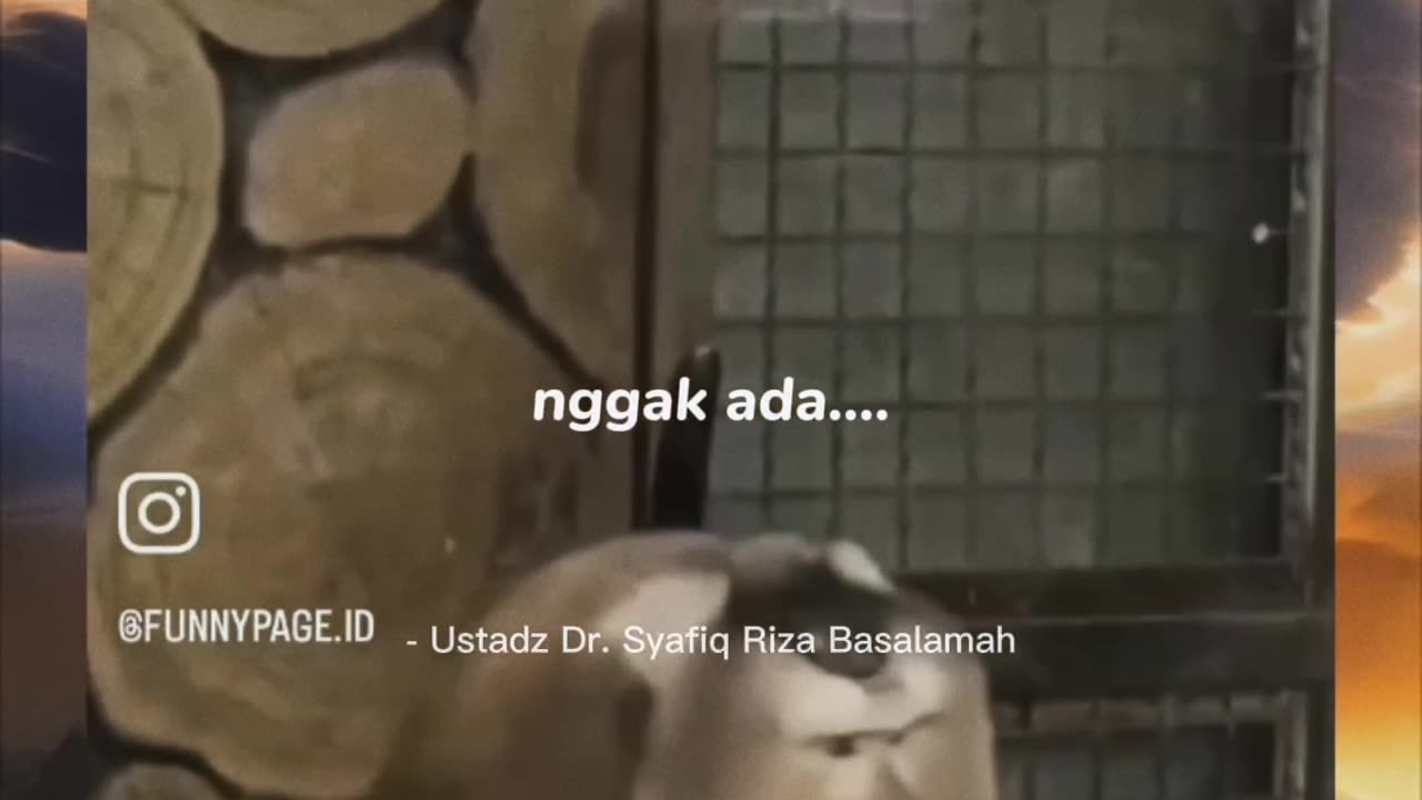 LOL 😂 funny video compilations