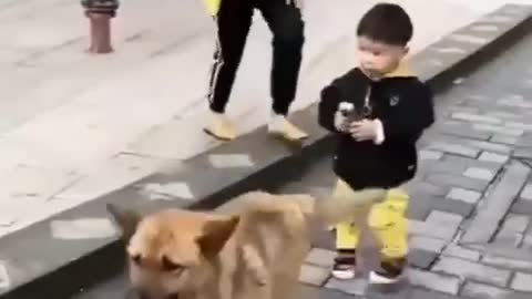 dancing dog🐶🐶🐕