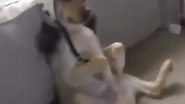 Фанат хоккея