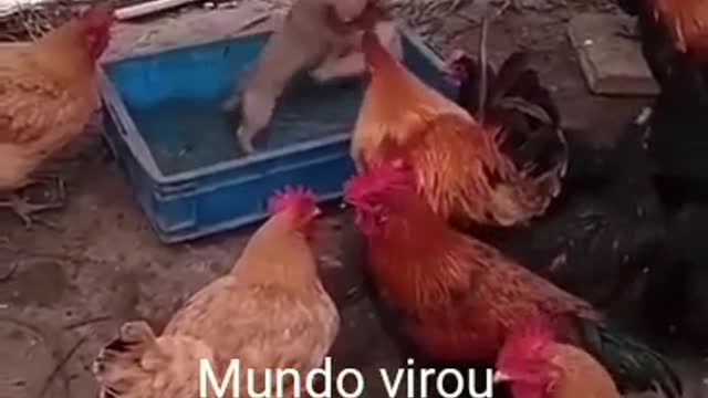 O MUNDO VIROU