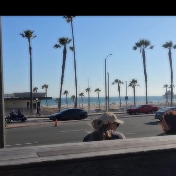 Coco chilling at Huntington Beach!