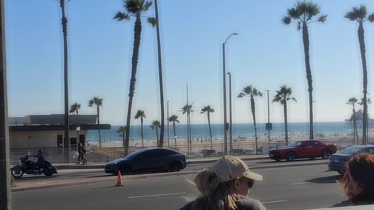 Coco chilling at Huntington Beach!