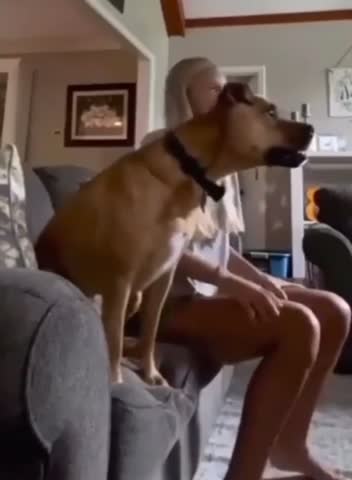 he cheers enthusiastically....!!!!!!