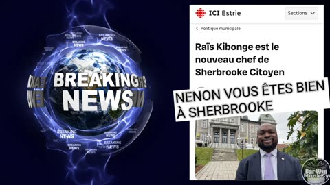 Breaking News Les Nouvelles BRISÉES Dar₩in Monk€y 📰🗞📧🖥💻 💥