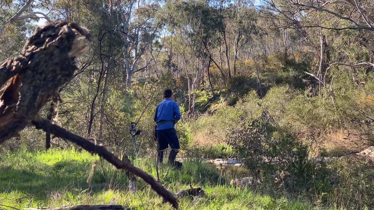 BEWARE: Your Never Alone In The Bush