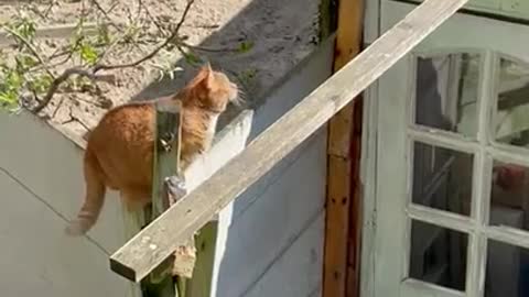 I'm ready, I'll do it