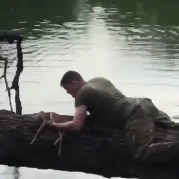 Soldier saves the drowning Fawn in the nick of time