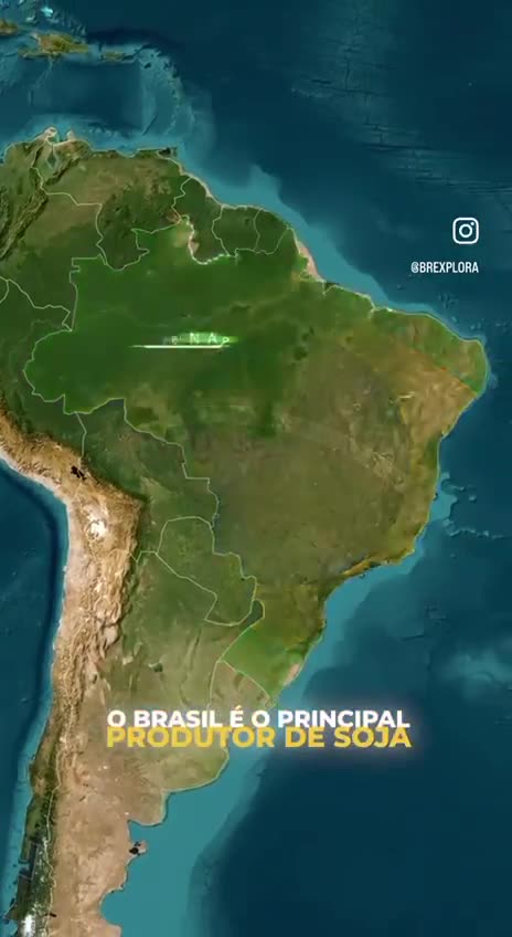 AGRONEGÓCIO: o que você provavelmente jamais aprenderá nas aulas de geografia e história de sua instituição de ensino. Compartilhe a verdade e não narrativas.