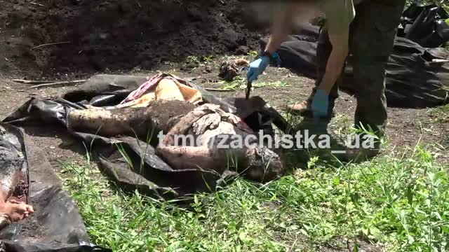 A mass grave of Ukrainian militants