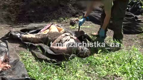 A mass grave of Ukrainian militants