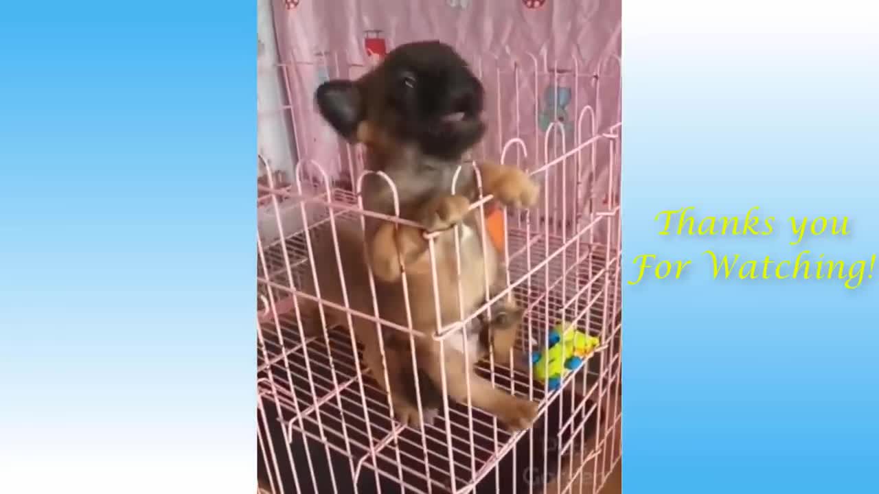 https://www.youtube.com/watch?v=Oc2pQaKkzOc