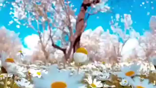 مناظر جميلة