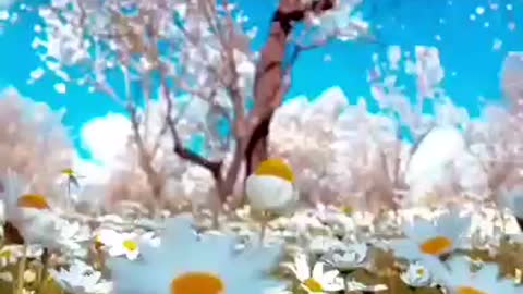 مناظر جميلة