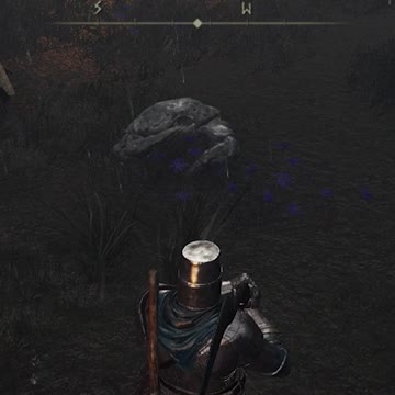 Mr. Krabs in Elden Ring?