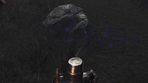 Mr. Krabs in Elden Ring?