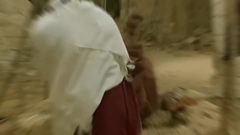 They find love while learning to survive in the wild, facing dangers from both nature and pursuers.