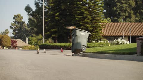 Runaway duck