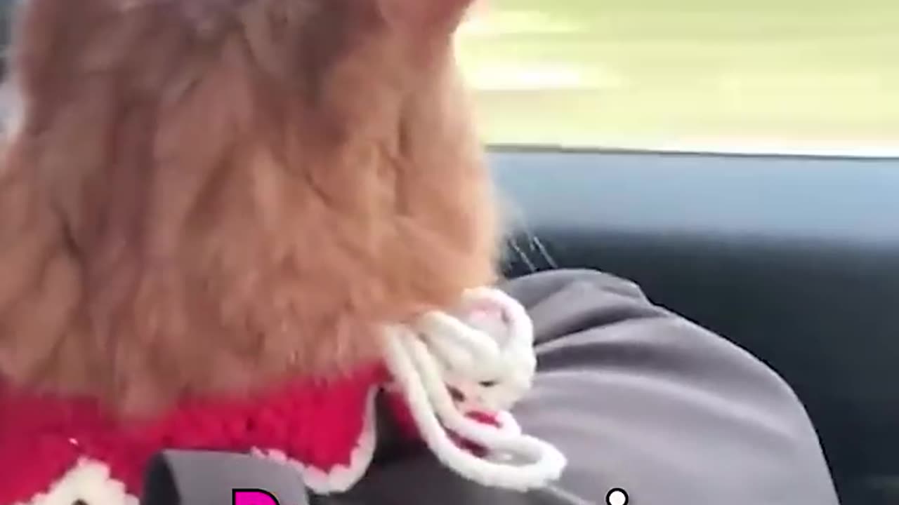 This will touch your heart
