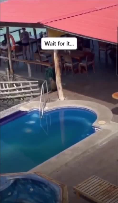 Anti-Loosh Video Number 7. LOOSH is real and bad. Explained below and watch the video!