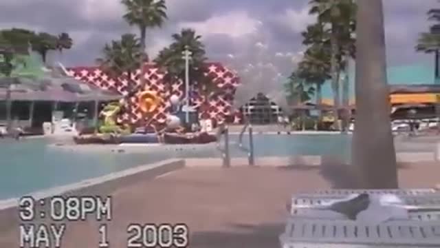 2003; Disney World May 01, 2003. First Puppy 'Baby' November 01, 2003