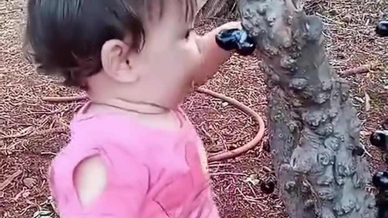 Baby eating fruits