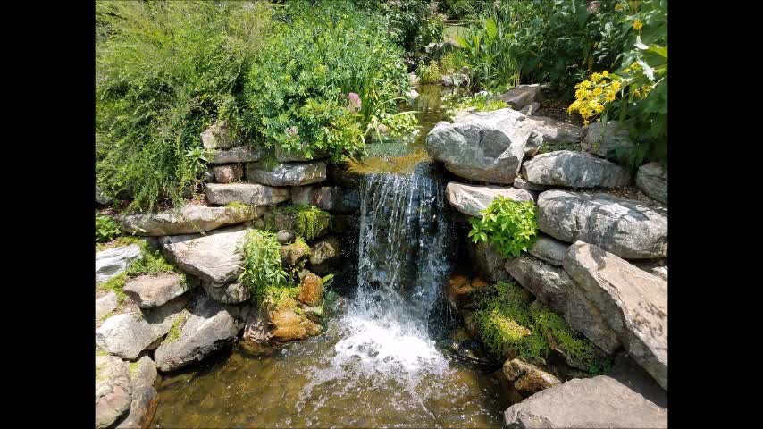 Texas Best Landscapes - (936) 277-5783