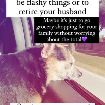 everything is expensive