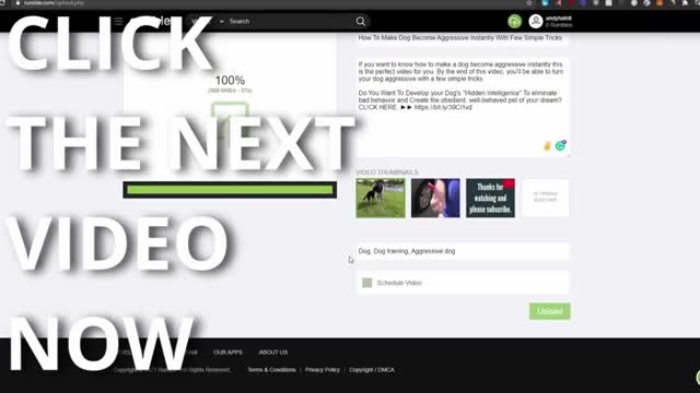 Earn $100 - $5000 (Step by Step Tutorial).