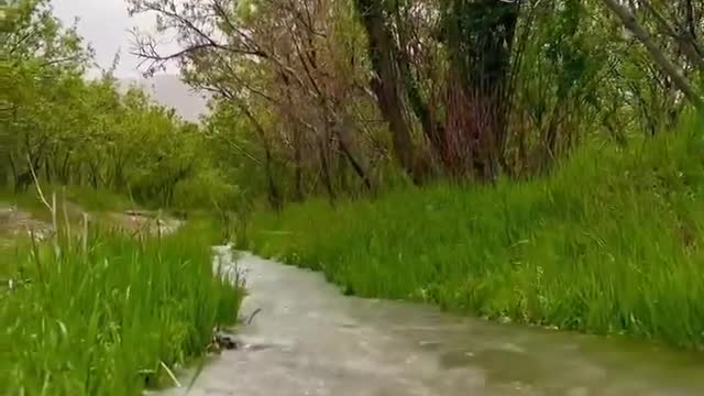 Welcome to Switzerland